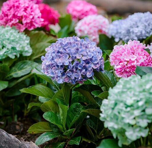 How to Rotate and Care for Bedding Properly for Lasting Comfort