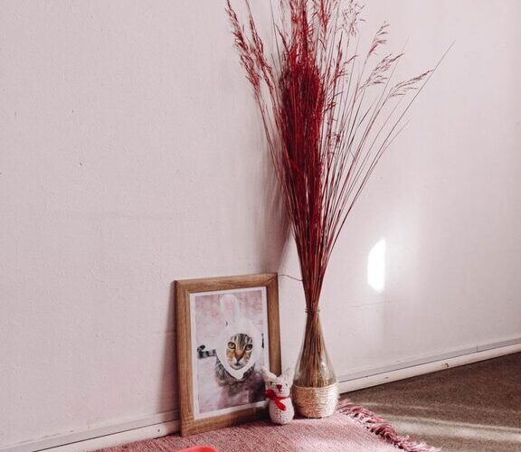 How to Create a Cozy, Pet-Friendly Corner in Your Home